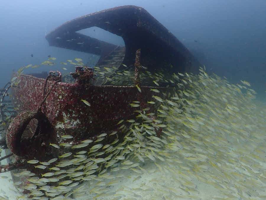 3 Fun Dives for Certified diver at Racha Yai/Noi - The three underwater sessions: timing, pressure limits, and what to watch for