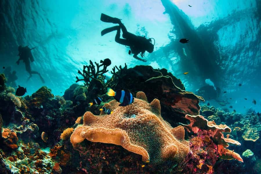 3 Fun Dives for Certified diver at Racha Yai/Noi - Between sessions: how the lunch breaks keep you comfortable and ready