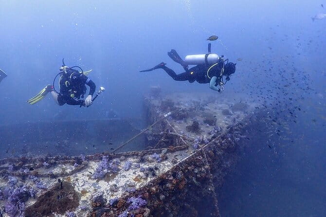 3 Fun dives in Phi Phi islands for Certified Divers - Gear, Insurance, and Food: The Real Comfort Wins
