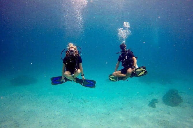 3 Fun dives in Phi Phi islands for Certified Divers - Price and Logistics: What $158.56 Really Buys (Plus the THB 600 Fee)
