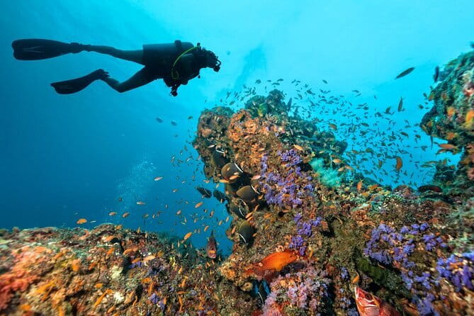 3 Fun dives in Phi Phi islands for Certified Divers - Three Underwater Sessions for Certified Divers: Phi Phi Twice and One More Site