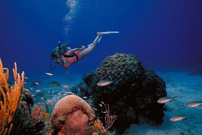 3 Fun Dives in Racha Yai and Racha Noi for Certified Divers - Three underwater sessions: how the timing and pressure limits work