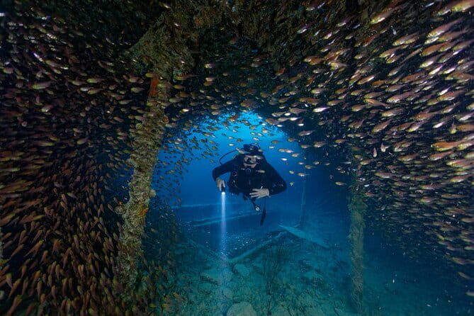 3 Fun Dives King Cruiser Wreck and Koh DokMai for Certified diver - Key points to know before you go