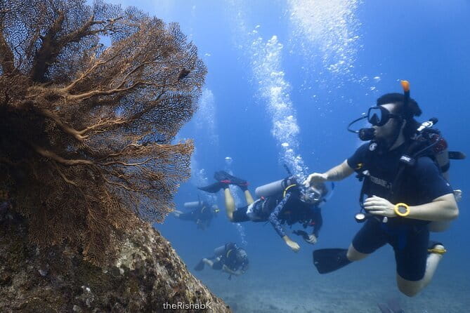 3 Fun Dives King Cruiser Wreck and Koh DokMai for Certified diver - Weather can change the plan, and that’s part of the deal