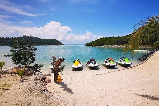 3-Hour Jet Ski Safari from Koh Samui to Pig Island or Koh Phangan - Pig Island (Koh Mudsum): The Wild-Pig Moment You Came For
