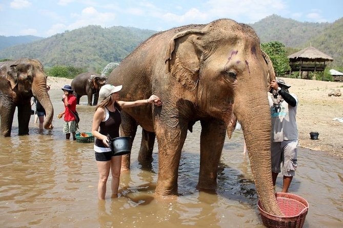 3D2NTrek Adventure at Chiang Mai Mea Wang Including Overnight at Karen Hilltribe - Elephant Camp Time: Feeding Included, Follow the Guide Closely