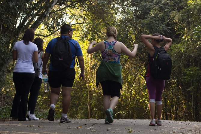 3D2NTrek Adventure at Chiang Mai Mea Wang Including Overnight at Karen Hilltribe - Bamboo Rafting and Waterfall Swims: The Fun Breaks Between Trek Legs