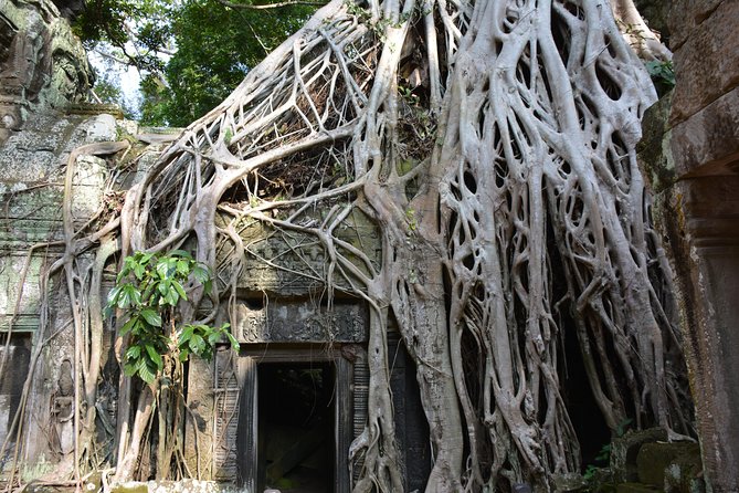4 Days Expedition From Bangkok to Angkor Wat - Guides and drivers: why timing and English really change the day