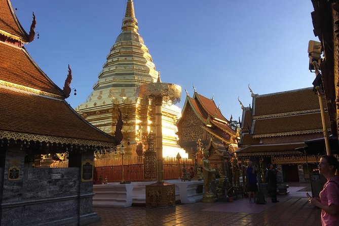 4 highlights: Sticky Waterfall/Elephants/local market /Wat Banden - Elephant sanctuary time: a core part of the day