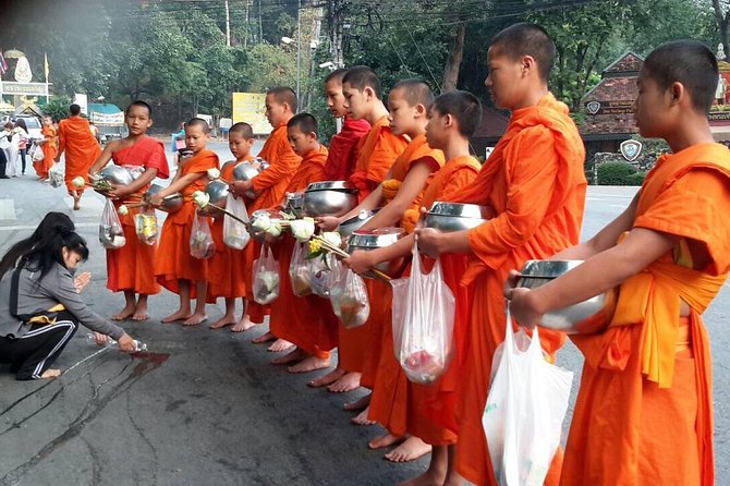 4 highlights: Sticky Waterfall/Elephants/local market /Wat Banden - Guides matter: Tu, Tom, Pon, and James make or break the day