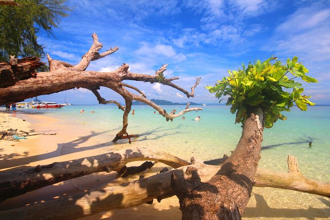 4-Island Wonders: Emerald Cave&Koh Kradan Day Tour by Opal Travel - Morning logistics from Saladan Pier (8:00 am) and how the day flows