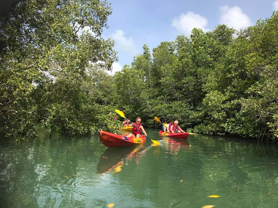 4 Waters Eco Adventure - Trek to Ton Phrai Waterfall: What Moderate Really Means