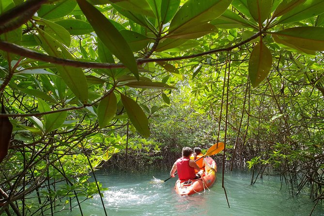 4-Waters Eco-Adventure Trip from Phuket Including Lunch - Hot Springs Beach Resort and Spa: warm pool, ice-cold pool, and the whiplash effect