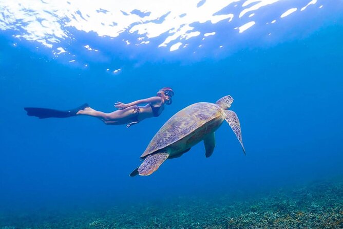 5 Islands Full-Day Tour Around Koh Tao and Koh Nangyuan - Mango Bay lunch on board: a nice break, but weather can reroute it