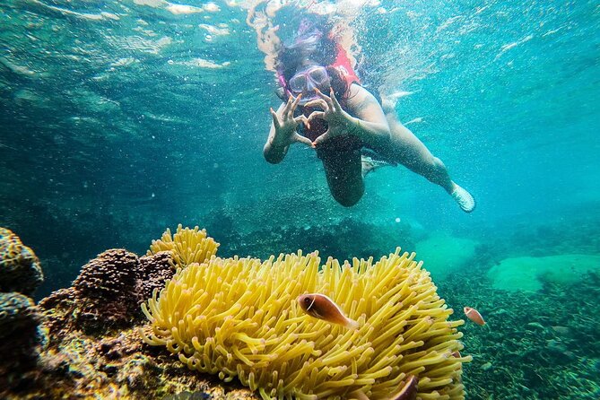 5 Islands Full-Day Tour Around Koh Tao and Koh Nangyuan - Hin Wong Bay: boulder coast snorkeling and underwater pinnacles