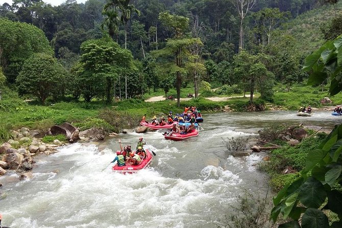 5 km White Water Rafting + ATV 1 Hour Tour From Phuket - ATV 1 hour in the jungle: what you get for the extra adrenaline