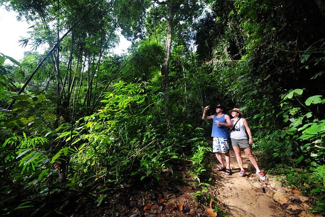 5km Rafting, ATV & Flying Fox Adventure Trip - Lunch in Phang Nga: A Real Reset Between Activities