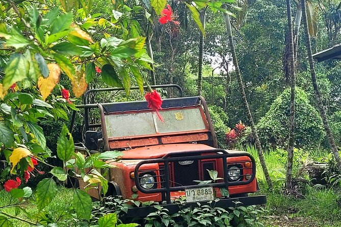 6 Hours Off-Road 4x4 Hidden Gem Adventure 1 - 8 People - Why this 4x4 Koh Samui tour feels different than the usual day trip