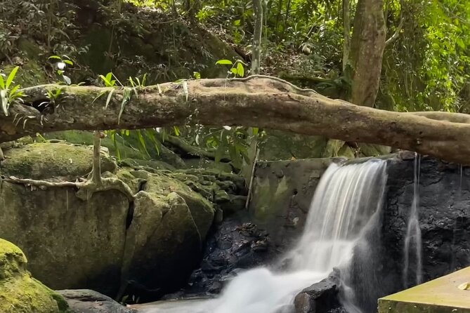 6 Hours Off-Road 4x4 Hidden Gem Adventure 1 - 8 People - Tree Bridge Coffee / Bridge Cafe: a midway break with options