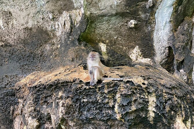 6 Hours Private Tour Around Phi Phi Islands From Phi Phi - What you actually get (and what you should budget for)