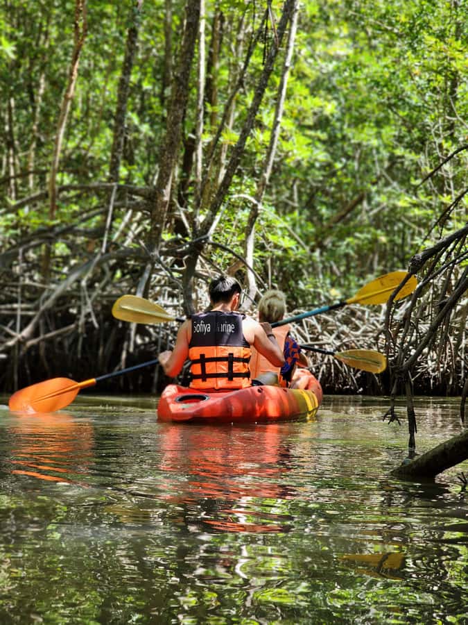 A Jungle-to-Sea Kayaking & Trekking Adventure in Phuket - Phuket Jungle-to-Sea: Why This 6-Hour Mix Works