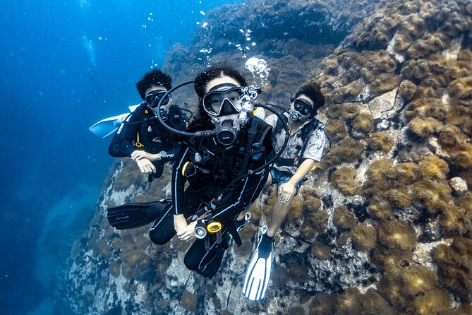 Advanced Adventurer - 2 days ( Advanced Open Water) - Perfect Buoyancy Skill: How It Changes Your Underwater Comfort