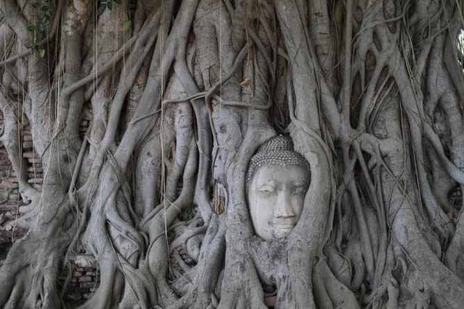 Afternoon Ayutthaya & Ancient Temples at UNESCO site By Road - Stop 2: Wat Yai Chai Mongkol and the 14th-century temple feel