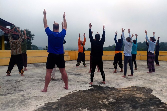 Afternoon Course - Shaolin Kung Fu Training - Your timeline from warm-up to organic dinner