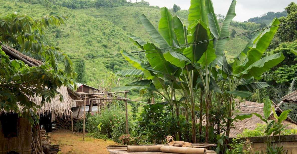 Akha & Lahu village trekking 1 day - Morning Coffee and Tea, Then Straight Into Trekking Mode