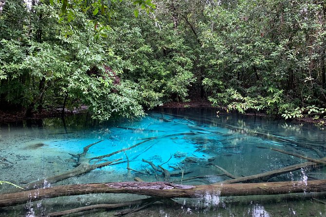 All day Krabi Jungle Tour (Hot Spring Water, Emerald Pool, Tiger Cave Temple) - Who This Tour Fits Best (and Who Might Rethink the Climb)
