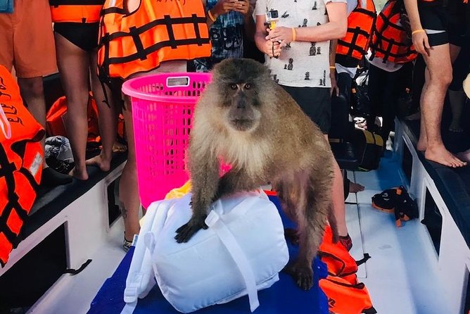 All-in Phi Phi, Maiton, MayaBay, Khai, Bamboo islands Tour - A long speedboat day: timing, sea conditions, and how to protect your body