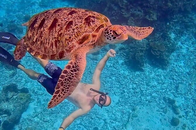 All Inclusive Full-Day Tour Phi Phi Islands from Phuket - Stop 3: Loh Da Lum Bay snorkeling and why timing matters