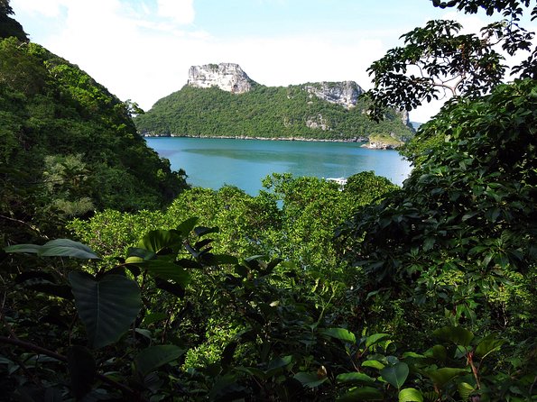 Amazing Ang Thong Marine Park Day Trip by Boat from Koh Samui - Price and Park Fees: What $61 Buys (and What It Doesn’t)
