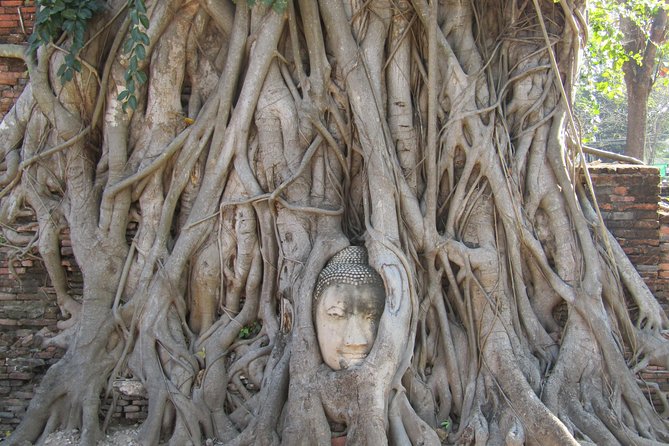 Amazing Ayutthaya Day Trip from Bangkok - Wat Lokayasutharam (Temple of the Reclining Buddha): a 42-meter statue moment