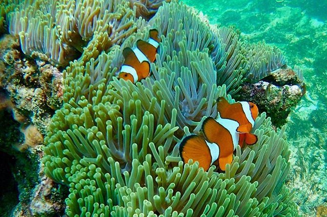 Amazing Krabi 7 Islands One Day Snorkeling Tour By Big Longtail Boat - The snorkeling reality: gear, guides, and keeping expectations sane