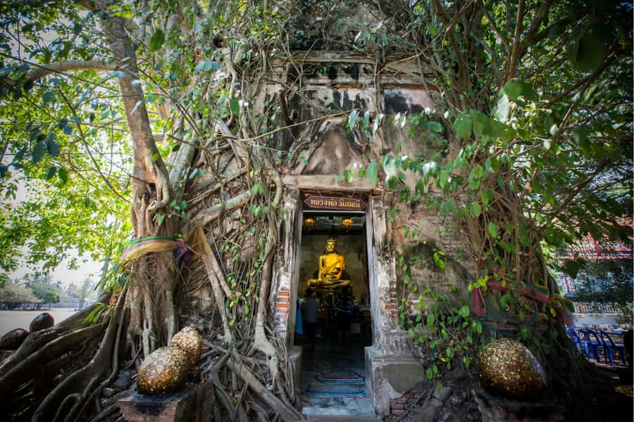 Amphawa & Railway Market & Boat Ride: from BKK - Ban Kalong Station to Maeklong: watching the railway market the right way