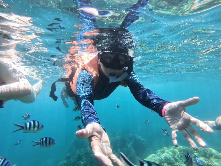 Ang Thong Full-Day Cruise with Sunset by The Red Baron Boat - Who this cruise fits best (and who should skip it)
