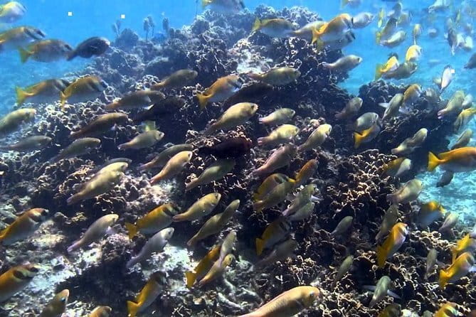 Ang Thong National Marine Park Full Day Tour - Ang Thong’s limestone islands: the real reason to go
