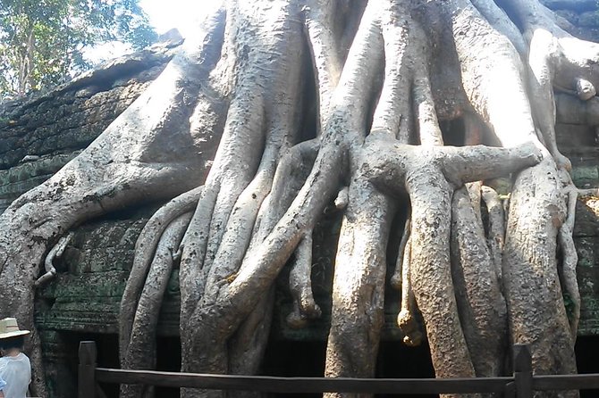 Angkor Wat 3-Day Tour from Bangkok - Price and value: what you’re really paying for at $490