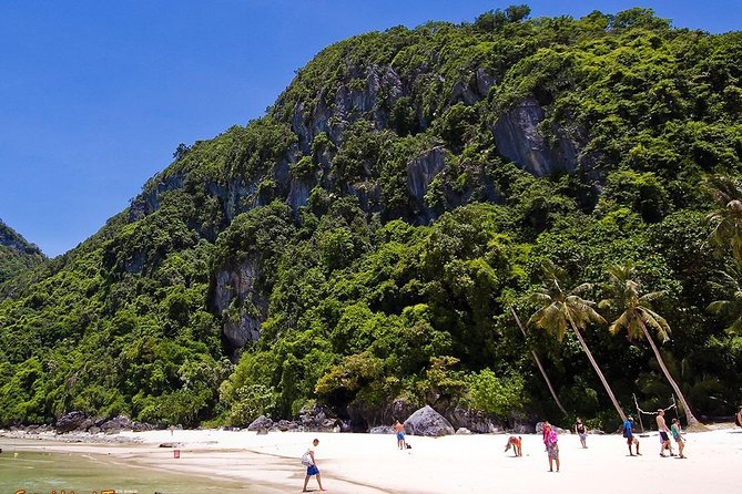 Angthong National Marine Park by Tour Boat including Lunch - Wua Ta Lap Island: The Viewpoint Hike and the Snorkeling Reality Check
