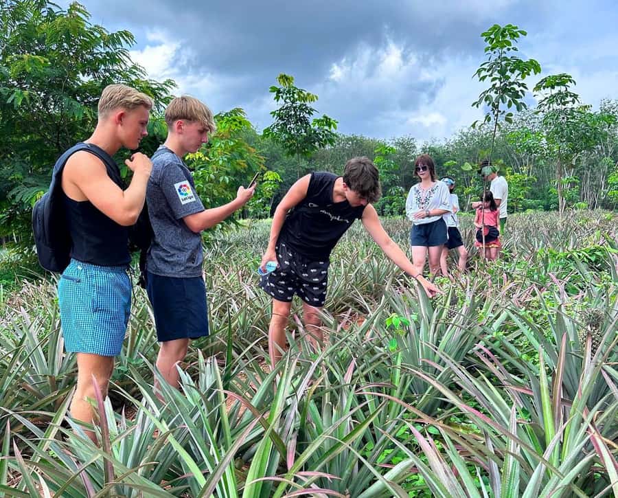 Ao Nang: Crystal Pool Kayaking, ATV, and Pineapple Farm Tour - Back at the Pier: Feeding Fish and Panoramic Views