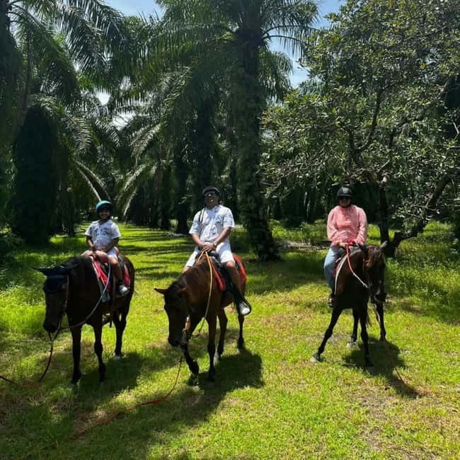 Ao Nang: Horse Riding Tour and kayaking clongrood - The small rules that matter more than you think