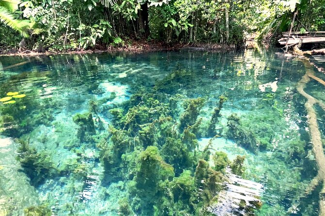 Ao Nang Kayaking at Klong Rud with Hotel Transfer - Gear and briefing: waterproof storage and how the guide keeps you moving