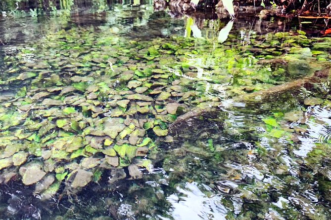Ao Nang Kayaking at Klong Rud with Hotel Transfer - Price and value for $25.80: what you actually get for the money