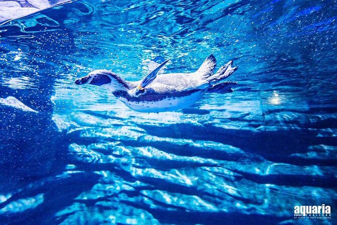 Aquarium Phuket and AR Trick Eye Museum Combo Tickets - Aquaria Phuket and AR Trick Eye: the one-ticket combo idea