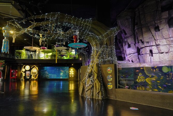 Aquarium Phuket and AR Trick Eye Museum Combo Tickets - Aquaria Phuket: the biggest aquarium experience in Central Phuket