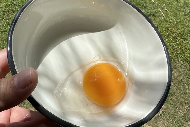 Aroidee’s Farm-Fresh Thai Cooking Experience - Harvesting Herbs, Collecting Eggs, and Meeting Buffaloes (Yes, Buffaloes)