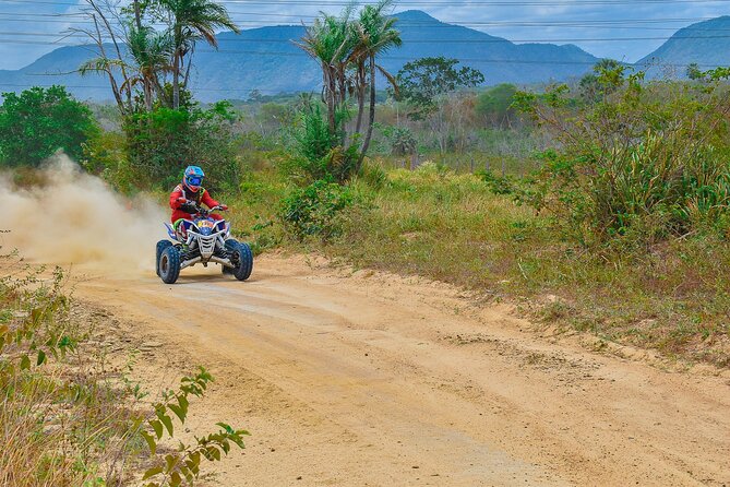 ATV Big Buddha Phuket Viewpoint - Price and value: what $39.13 buys you