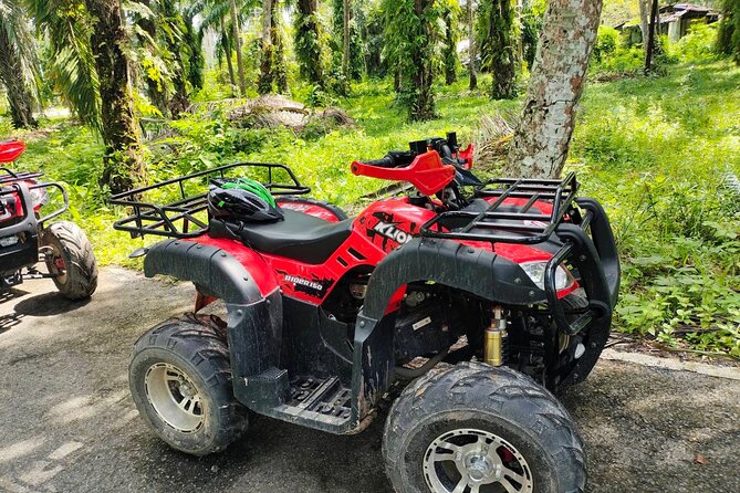 ATV Jungle Adventure in Krabi with Roundtrip Transfer - End stop with fruit and that elephant moment