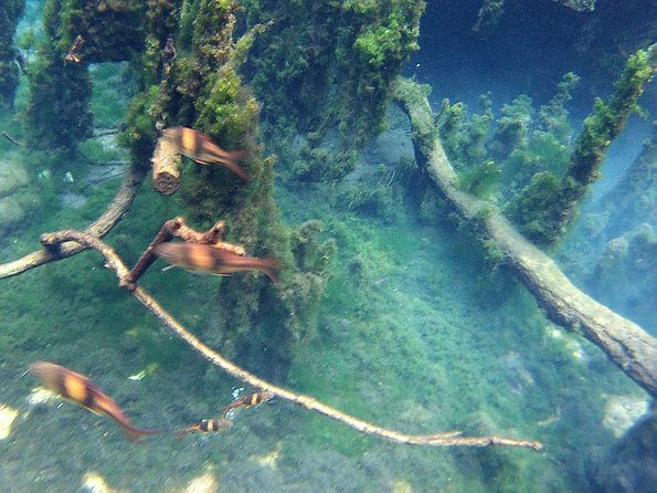 ATV & Kayaking in Hidden Freshwater Lagoon, Unseen Krabi Half Day Trip - Who This Tour Suits Best